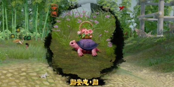 趣味减压桶攻略：轻松化解压力，享受生活的小确幸